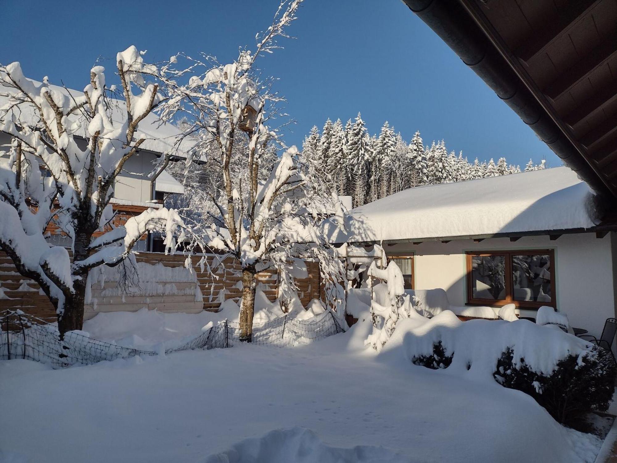 Cosy Holiday Home With Sauna In The Allg U Burggen エクステリア 写真